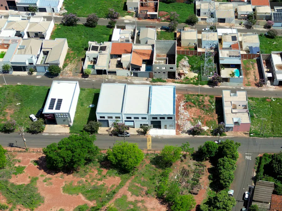 Jardim Silvestre