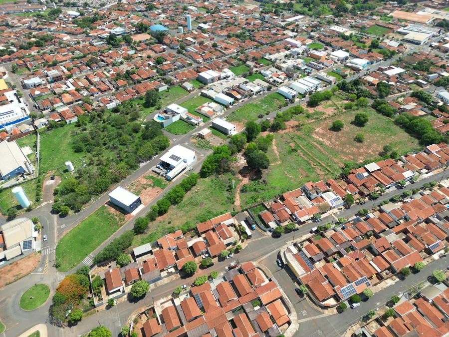 Jardim Silvestre