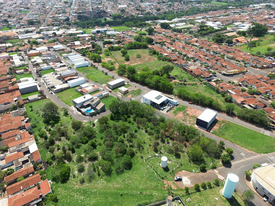 Jardim Silvestre