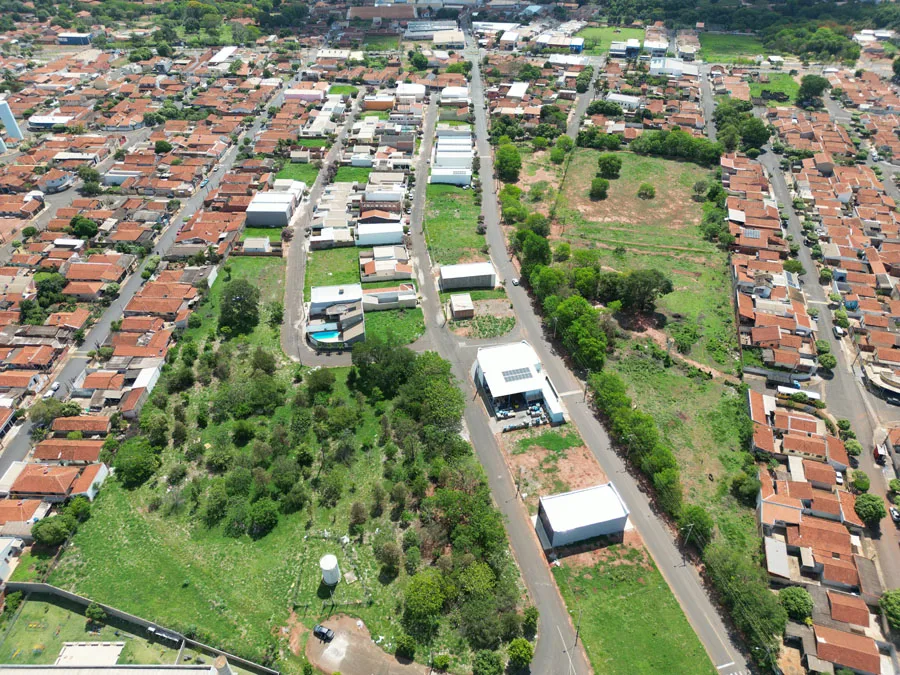 Jardim Silvestre