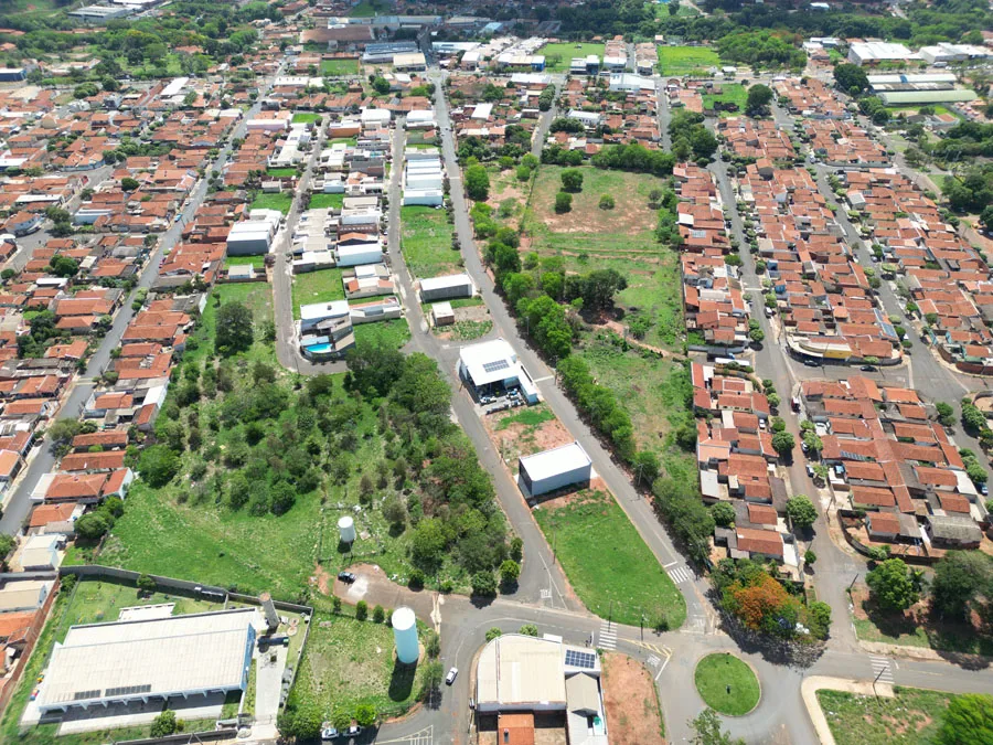 Jardim Silvestre