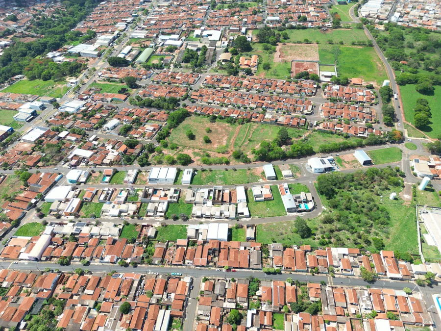 Jardim Silvestre